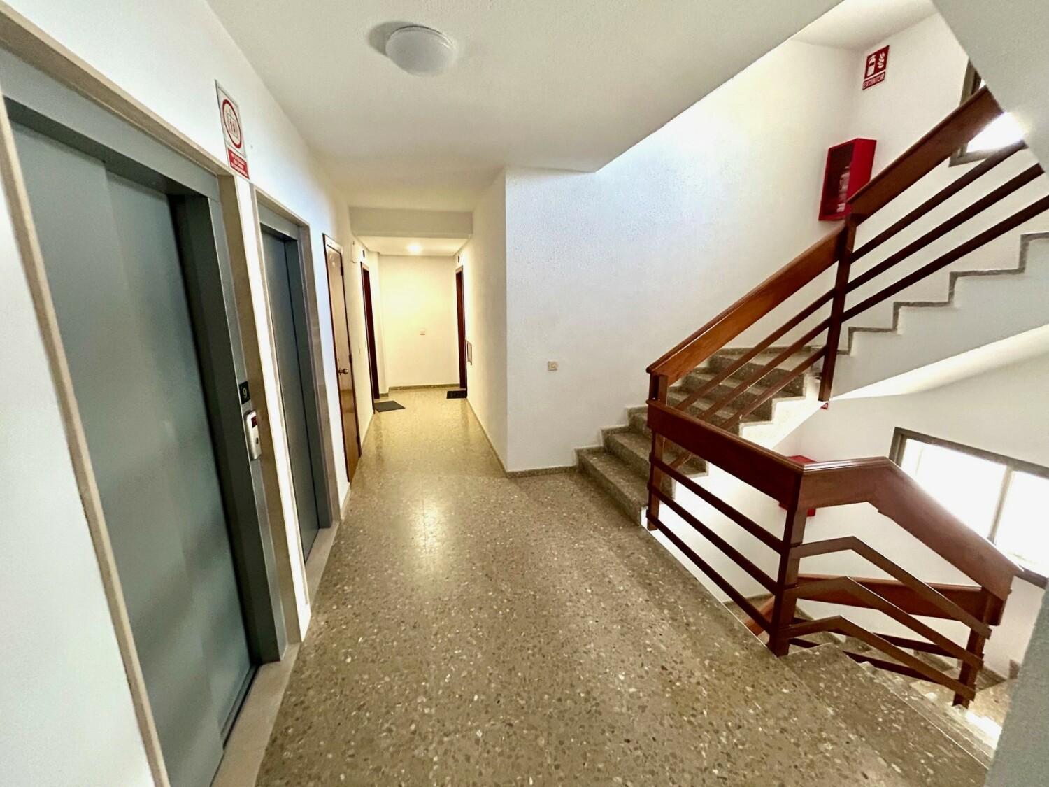 Gatu Arena " Preferente Mayores De 25 Anos Y Familias " El Puerto de Santa María Buitenkant foto